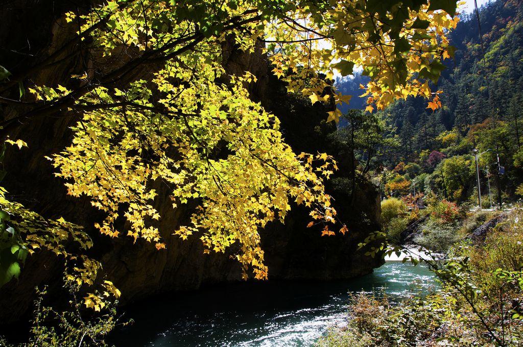 甘南秋天,甘南州的秋天
