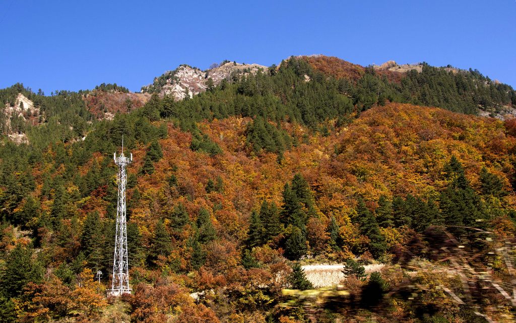 甘南秋天,甘南州的秋天