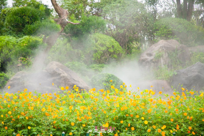 十一小长假带婴儿去哪里玩,十一长假想带孩子旅游长见识