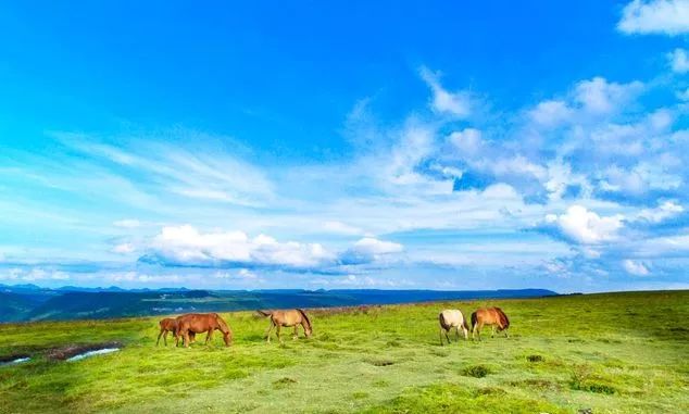 收藏｜这份国庆游玩攻略，助你玩转黔南！