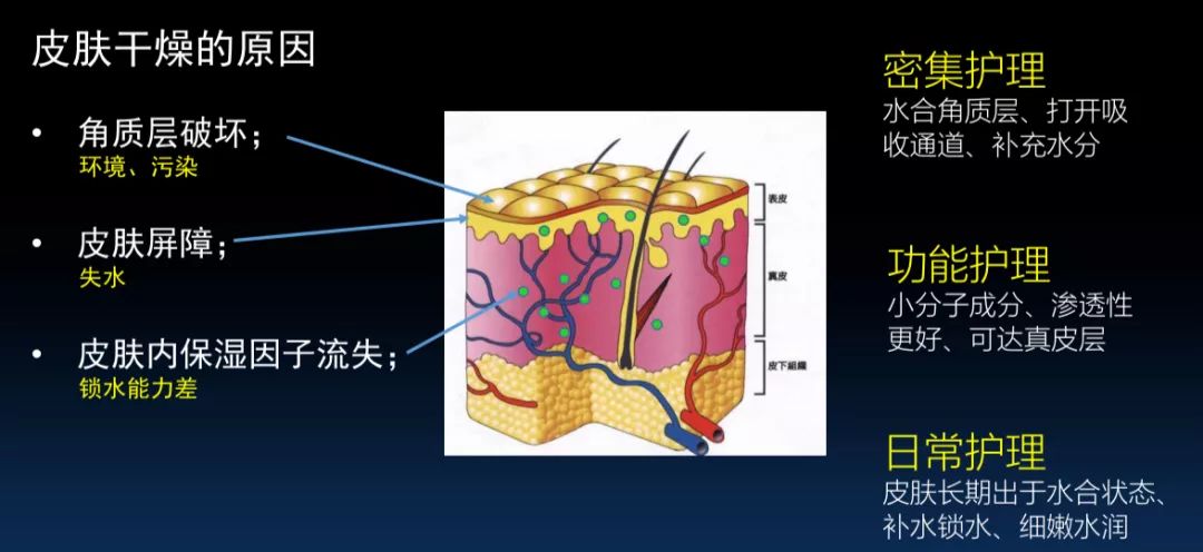 护肤领域有哪些科技成果,樊文花护肤都有什么项目