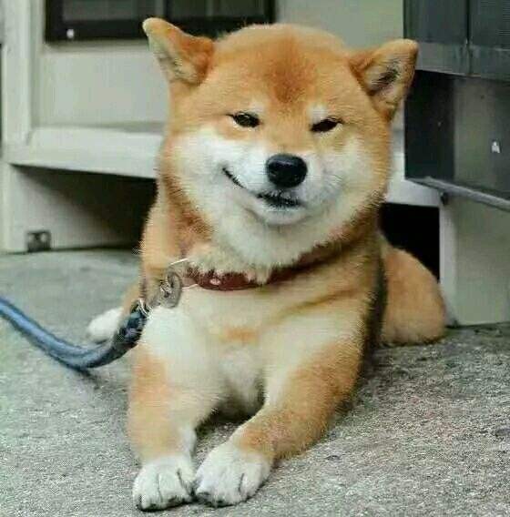 梅西群主,大佬们吹梅西