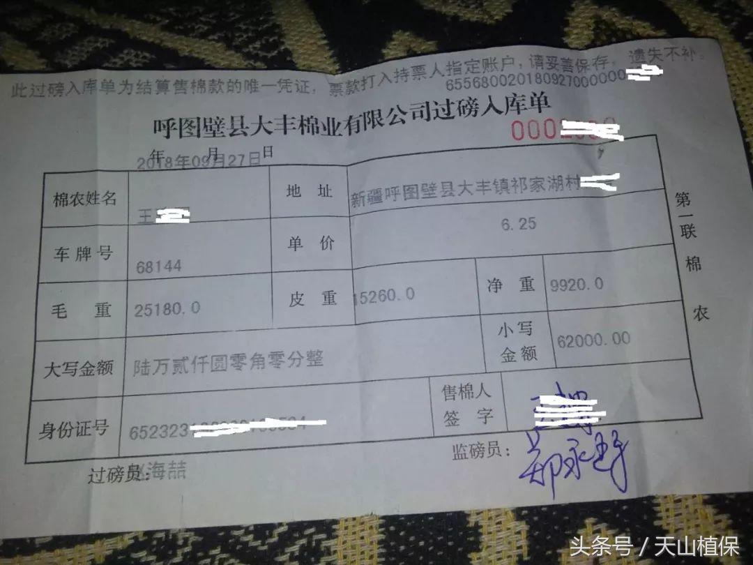 2022年籽棉目前价格,南北疆籽棉收购价格表