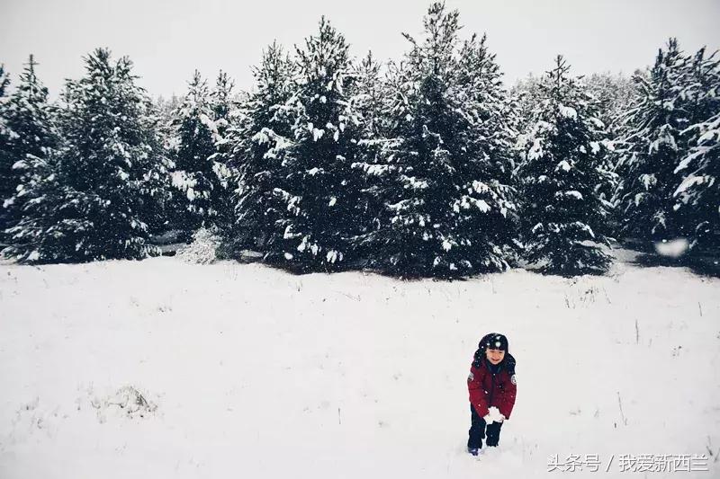 新西兰是不是最美丽的地方,新西兰到底有什么好玩