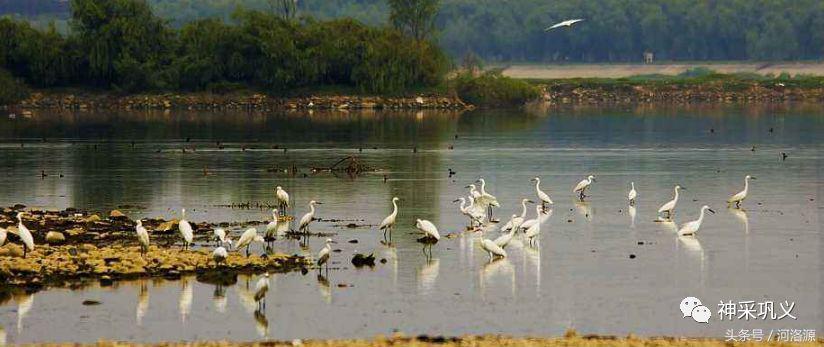 史话河洛,史话巩义