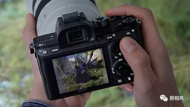 单评｜为啥选7RⅢ做你的视频机？