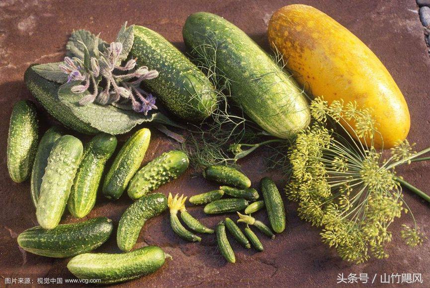 科学研究男性特征,科学认识男性生理问题