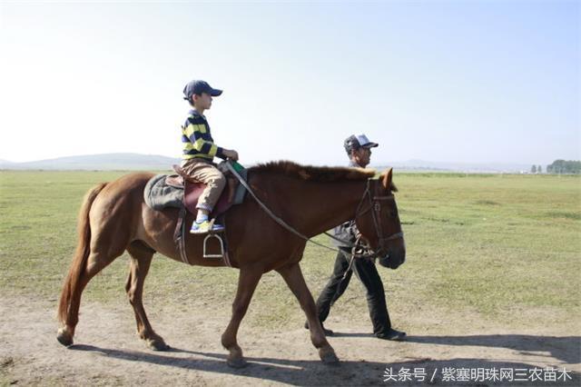 北京龙庆峡民宿,北京龙庆峡民宿第一名