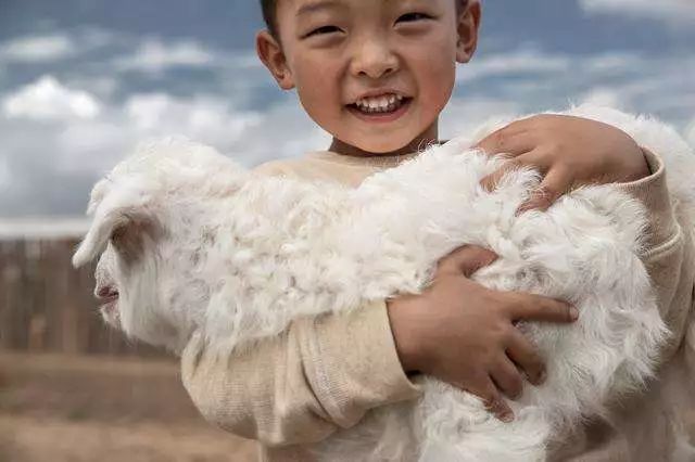 andremaurice意大利羊绒,意大利羊绒顶级品牌