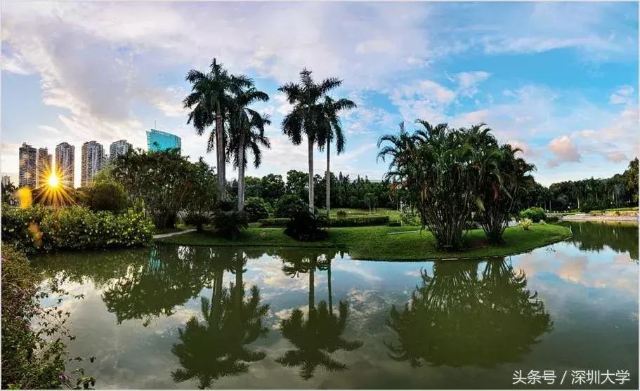 深圳名牌大学校歌,深圳有名的大学校歌