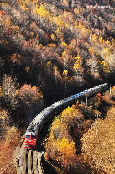 学会九大宝宝疾病用药常识，你也能成为半个儿科医生