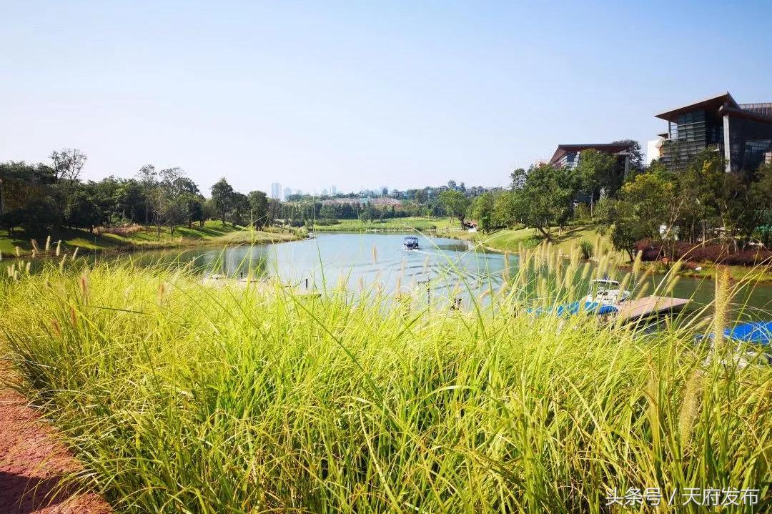 天府新区国庆哪里玩,国庆假期游玩攻略成都天府新区