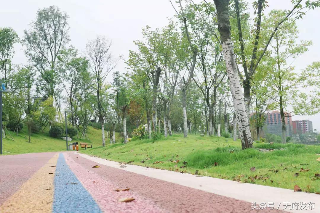 天府新区国庆哪里玩,国庆假期游玩攻略成都天府新区