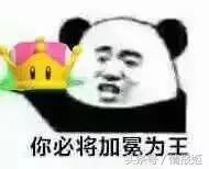 火爆推特的库巴姬:全球的二次元娘化狂欢!