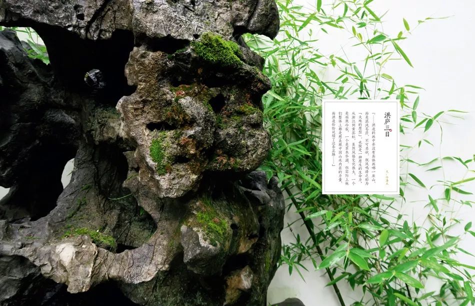 《库艺术》微店|图书刊物五一期间优惠活动