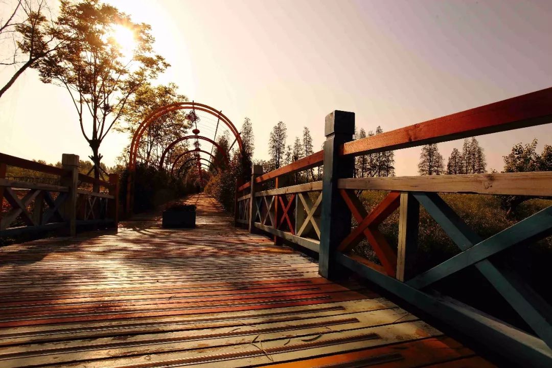 宜兴紫砂体验游,宜兴紫砂城攻略