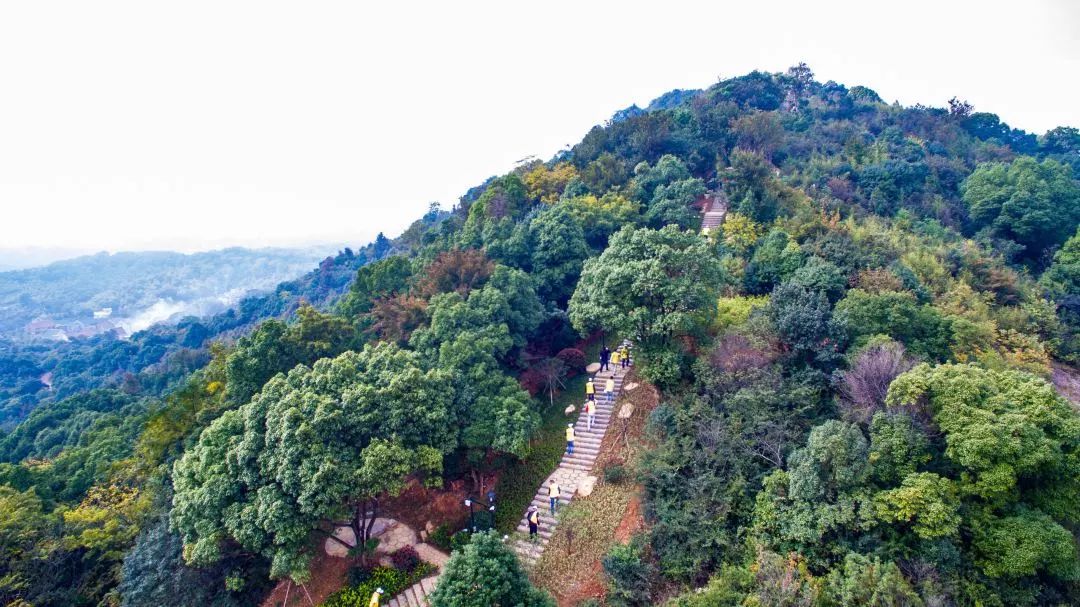 国庆七天长假去哪里,国庆七天游江西攻略