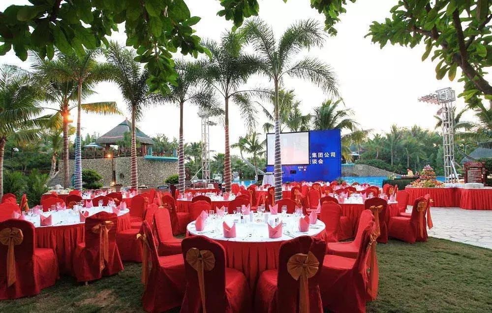 大s和杨子姗是一个人吗,大s杨子姗