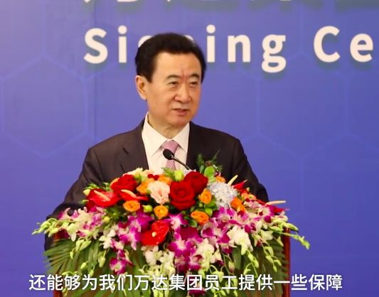 王健林强效执行力训练,王健林企业管理执行力