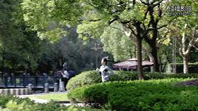 上海徐家汇有必要逛吗,上海人逛的商圈