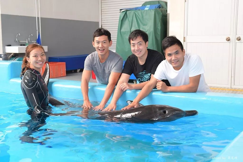 乘高铁游香港快捷又方便,坐高铁怎么样去珠海长隆海洋乐园