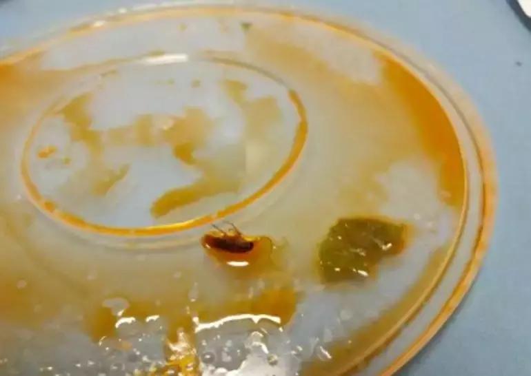 路边摊小吃究竟有多脏你真的了解,街边小吃摊脏不脏