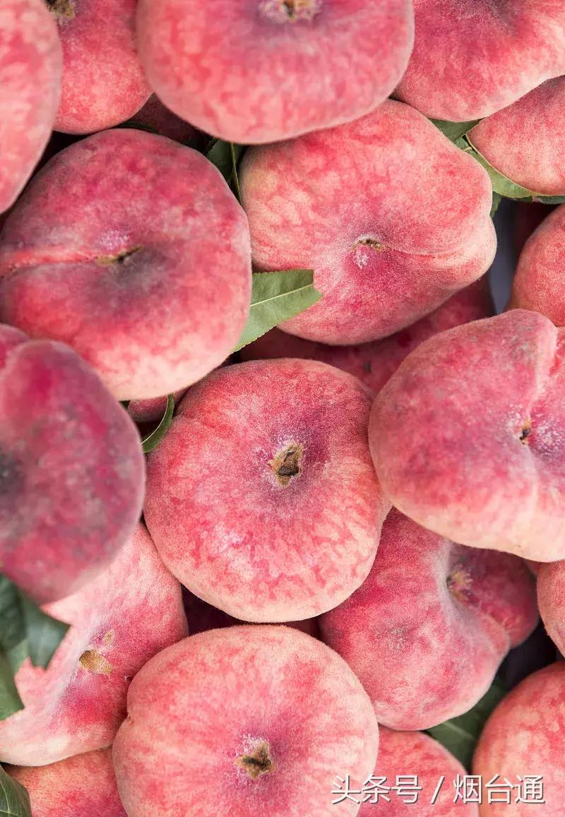 烟台十一景区免费游玩,十一假期旅游推荐烟台游乐场