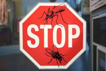 几块钱软膏的作用,实用又便宜的软膏