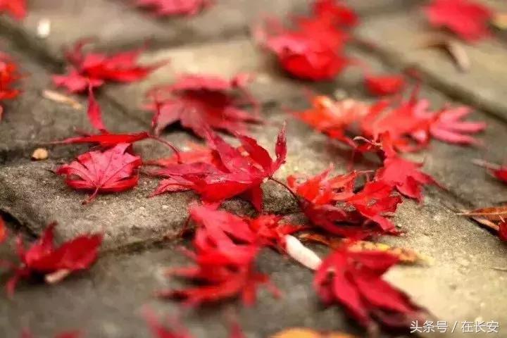 西安秦岭自驾一日游免费景点,西安出发一小时深藏秦岭山水秘境