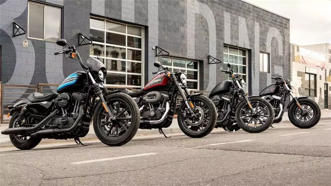 小姐姐为啥大爱硬汉？请看哈雷给出的答案