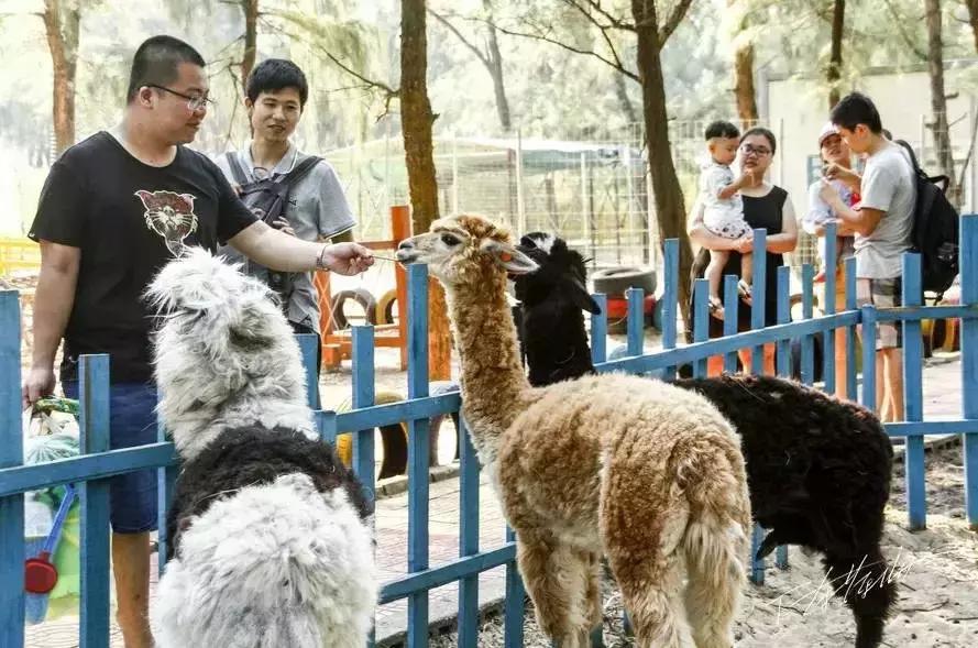 漳州小众网红景点推荐,漳州网红打卡地景点游玩