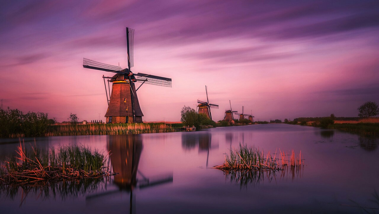 十二生肖出生月份都是什么星座,十二生肖出生的月份婚配表