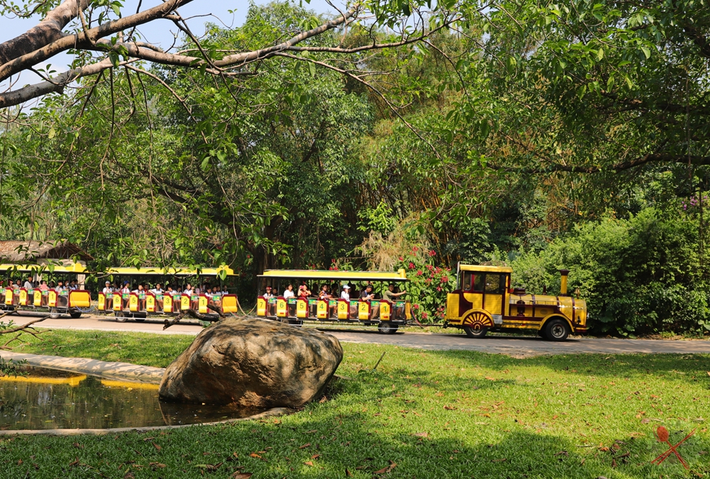 去广州长隆不住景区攻略,春节广州长隆不住园区怎么玩