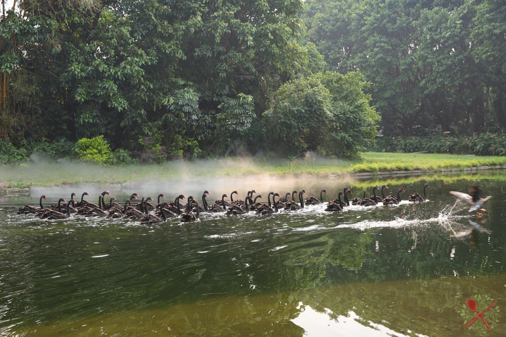 广州长隆乐园最全游玩攻略,广州长隆乐园旅游攻略三天两夜