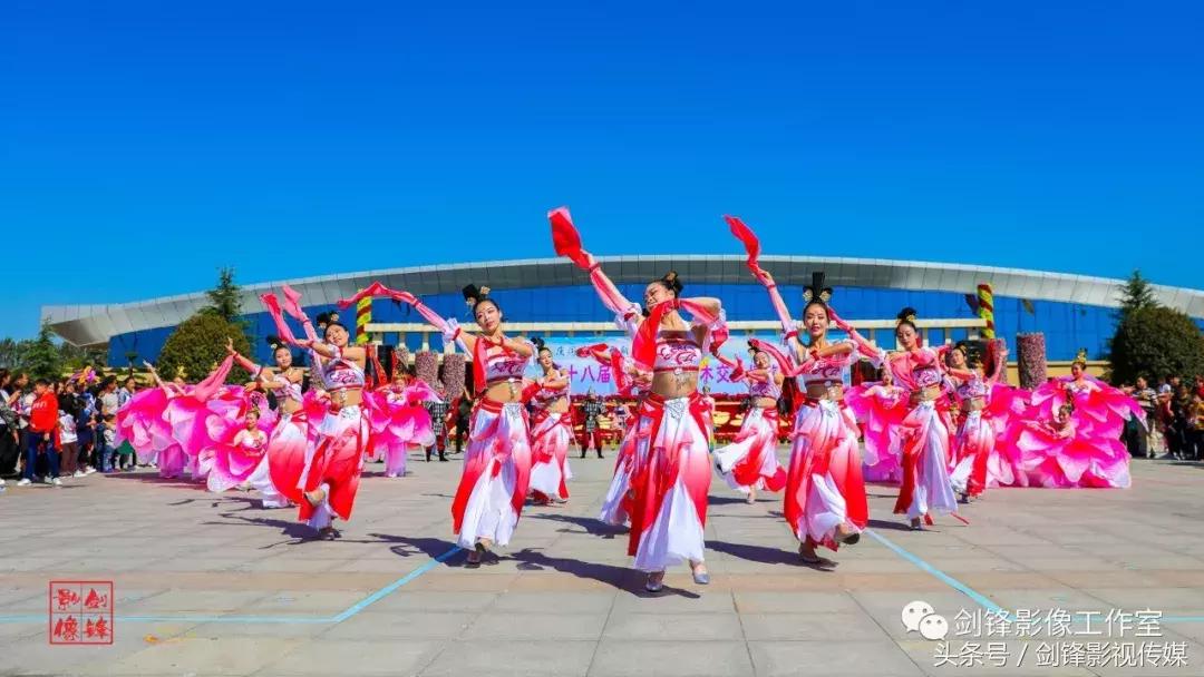 百花争艳花展,争奇斗艳花卉展