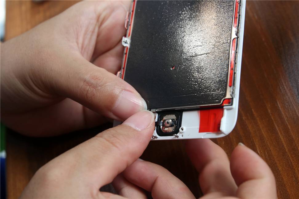 鑻规灉6splus鐖嗗睆,鑻规灉6sp纰庡睆娴嬭瘯