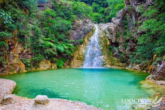 第一次采摘火龙果的体验,高明采摘火龙果