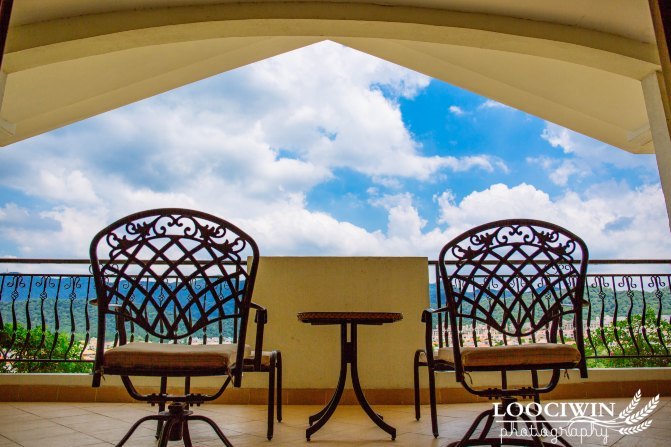 第一次采摘火龙果的体验,高明采摘火龙果