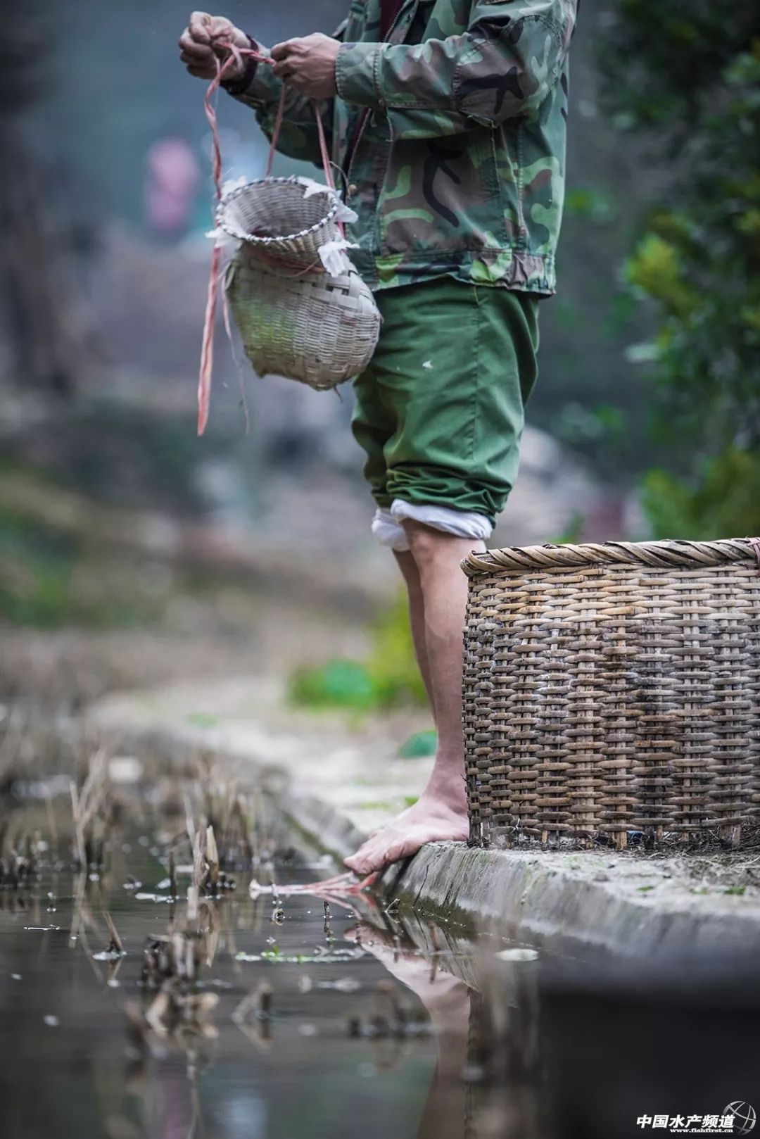 最好吃的生鱼片排名,十大顶级刺身生鱼片
