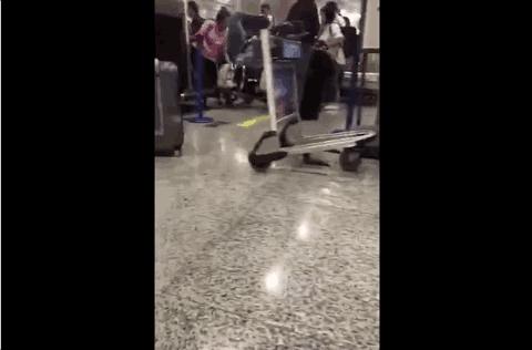 全国百日严打整治行动抓捕人数,三次全国范围的严打行动