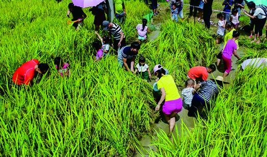 古驿道南粤古驿道,南粤古驿道旅游景点