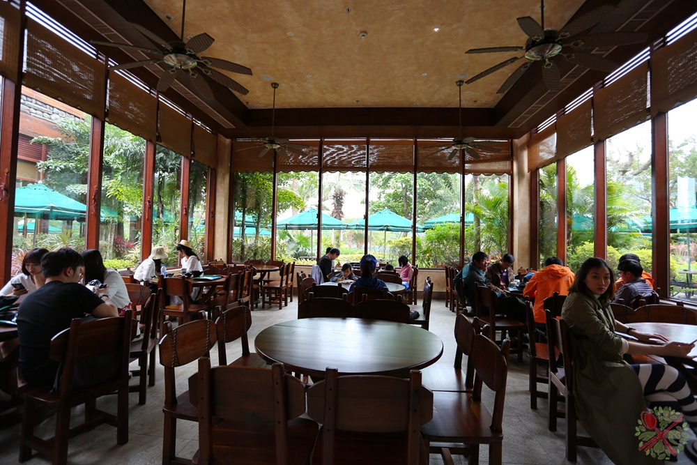 珠海长隆海洋王国企鹅三天两晚,珠海长隆海洋王国企鹅北极熊