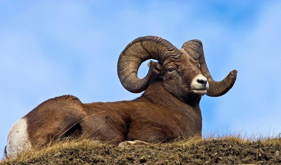 山区迷路怎么办？这些招式关键时刻能救急！