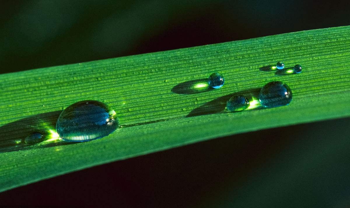 护肤品用完了用什么来清洗,护肤品清洗知识讲解