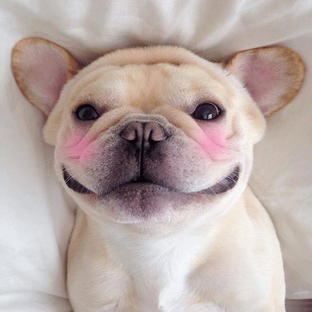 听说这些饭团是TVB艺人最爱吃的，还不快来赶紧体验！