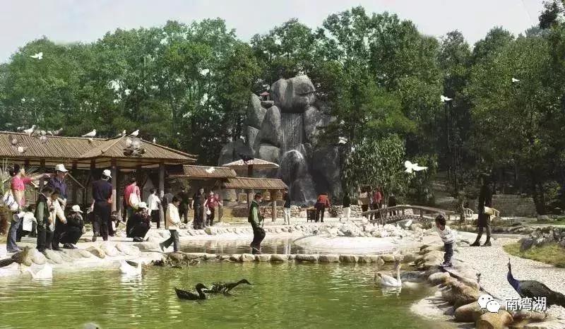 信阳十一自驾游推荐表南湾湖,十一假期旅游推荐信阳自驾游