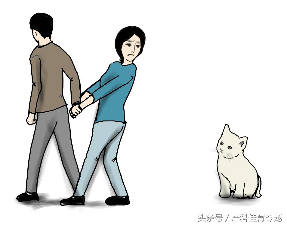 孕期感染弓形体,孕期接触狗狗一定会感染弓形虫吗