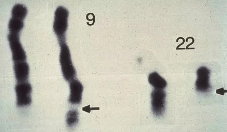 7分钟诺奖得主把癌症讲明白,诺奖获得者讲癌症