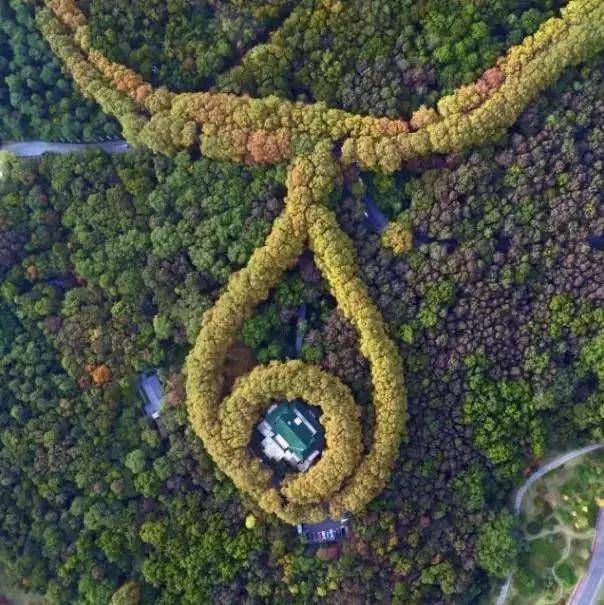 出去人从众,玄武为你安排了身边的风景