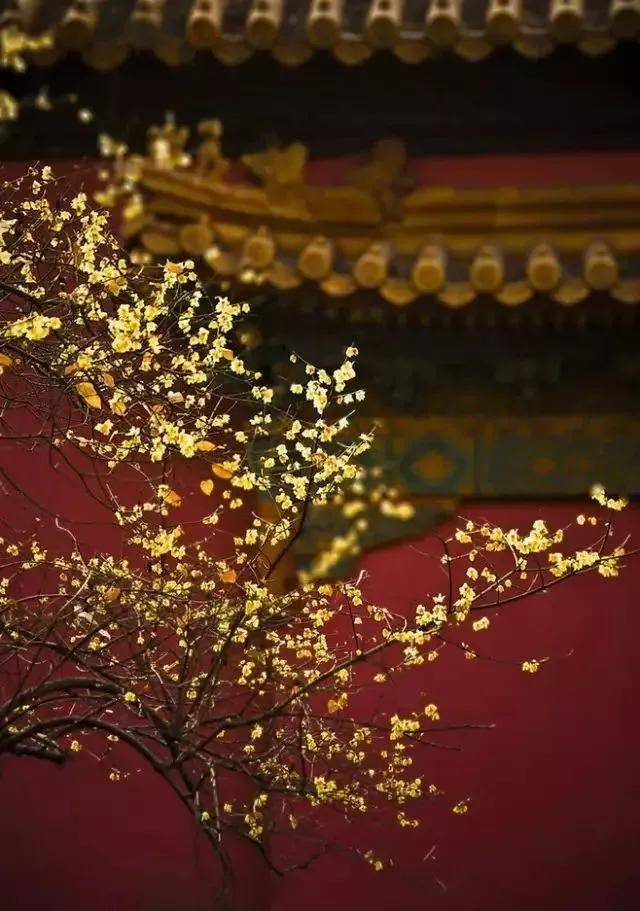 出去人从众,玄武为你安排了身边的风景